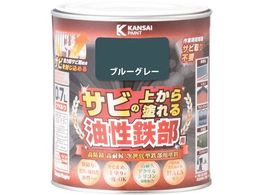 KANSAI SpS u[O[ 0.7L 00 357640371007