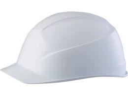 ^jU GACgSڃwbg AJ^CvEat X̐F: