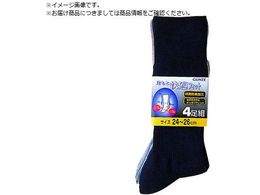 GUNZE ƉKtBbg4g\bNX25A\[g 04034-25-4PH