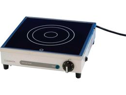 SIBATA �z�b�g�v���[�g NP-6R 050850-061