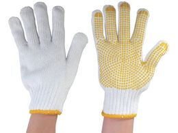 �ۘa�P�~�J�� �����p���ׂ�~5�o�a�m�p 1005