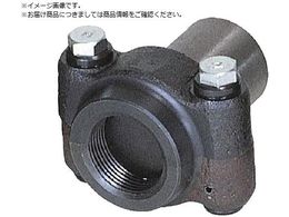 REX jbvA^b`g 2.1 2 NA[65 1701NG