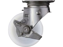 n}[ SUS TChSPt iC100mm 313S-N100