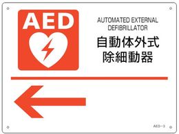 Ώ\ AEDݒuEUW ̊Oד큩 AED-3