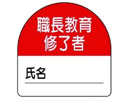 jbg C҃XebJ[E PPXebJ[ 35~35 10g