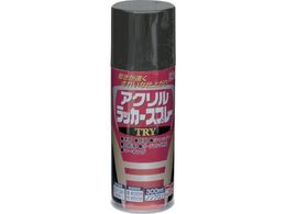 jby ANbJ[Xv[TRY 300ml ubN 222T003-300