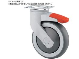 eeLX^[ LX^[ LEVINA  GXg}[ 100 ݎ g[^bNt 5377PJP100P50