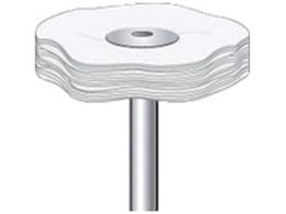 iJjV \tgȃot 10{ 25~5~3 53748