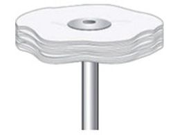 iJjV \tgȃot 10{ 30~5~3 53749