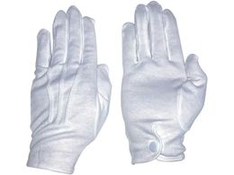 ӂ 543 RbgZ[ zbNt 543