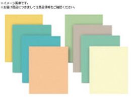 �i�J�j�V ���b�s���O�t�B�����V�[�g 5���� 220�~280 #10000 56970