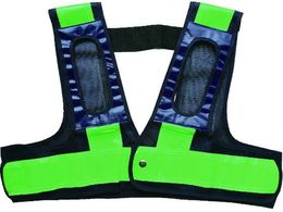 �~�Y�P�C �t���n�[�l�X�p���S�x�X�g�u�����ł����ł��v[�� ��]