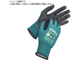 UVEX ou[ cCtbNX JbgD M 6009068