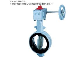 b 700G-2U JIS10K FCD450 SCS14 NBR 50A700G-2U-50-S-N