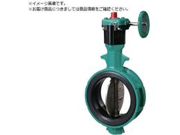 b 700Z-2F JIS10K ADC12 SCS13 EPDM 80A700Z-2F-80-S13-E