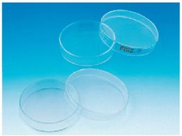 TGK Fine V[[ }[Nt 60 792021201