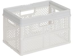 TENMA ܂肽݃oXPbg nhtL 811000816