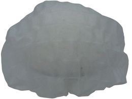 g ĝăLbv ^b`Lbv 10 863