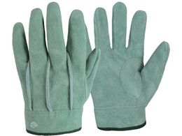 K-WORK ɏ_v ICwDV[g ŐA-50-HS