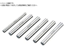 SK �|�s���Q�[�W AA�V���[�Y +-���� AA 13.99mmAA-13.99