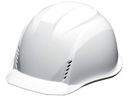 DIC AA16[FVGAbV  KPtAA16-FV-HA2EM-KP-W