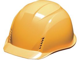 DIC AA16[FVGAbV  KPtAA16-FV-HA2EM-KP-Y