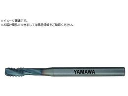 } A~HpXpC^bv ACHSP P3 M6X1ACHSP-P3-M6X1