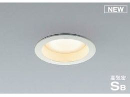 RCY~ ZEXܗpƖ 񒲌 dF pGXv^LEDt SB_ECg 100W AD1161W27