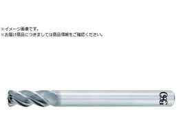 OSG dhU^Gh~ AE-VMS V[g^ WAX 8556140AE-VMS 6XR0.5 8556140