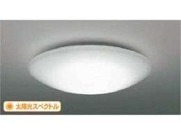 RCY~ ZEXܗpƖ @\t F zXyNgLEDV[O 10p AH51219