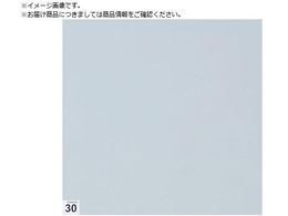 TRUSCO GA[V[pSV[g Ȃ 300X300 30 Sx ASSF-3030W