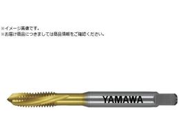 } R[eBOʂ茊pXpC^bv AU+SL P3 M10X1.25AU+SL-P3-M10X1.25