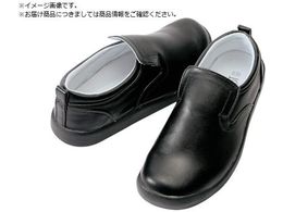 ACgX RbNV[Y ubN 25.0AZ-4436-010-25.0