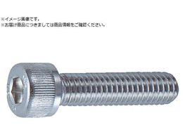 TRUSCO �Z�p���t�{���g �X�e�����X �S�l�W M2.5�~6 24�{�� �L���b�v�{���g CAP B44-2506