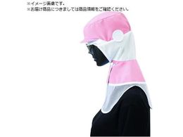 TybNX N[t[f t[h CD-590-D1-L