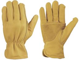 V LvEƗp {vt LTCY CG-990