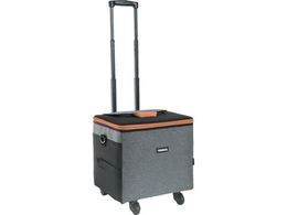 TRUSCO ۗL[ COOLCARRY