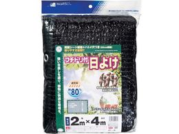 MATAI t`ht悯 80% 2~4m DDHC00147