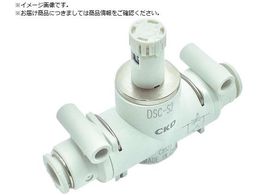 CKD _CtXs[hRg[ CC^Cv DSC-S2-10-H1010