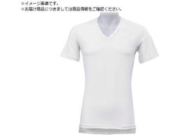 x^  X  fIhCYebN VlbN zCg M DT-25153149