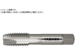 } ޗp|Cg^bv EH-PO P5 M22X2.5 EH-PO-P5-M22X2.5