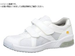 ~hS ÓdƌC ELEPASS307 22.0CM