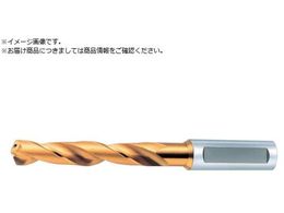 OSG �S�[���h�h���� ��ʗp���H�p���t�� ���M�����` �n�a11mm 64110 EX-HO-GDR-11 64110