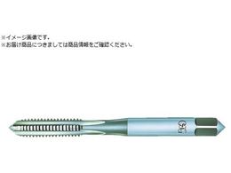 OSG nh^bv [g˂p p M6 sb`1mm 24431 EX-PLA-HT-STD-M6X1 24431