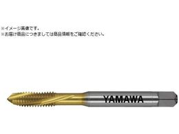 } pʂ茊pXpC^bv F-SL P2 M5X0.8 F-SL-M5