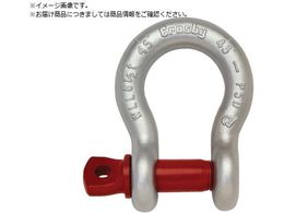 Crosby VbN ˂݁EoE 0.5t G209-6