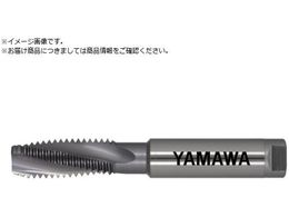 } hCHpX`[pXpC^bv HDISP P4 M12X1.75 HDISP-M12X1.75