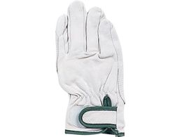 ӂ JW 824 }WbN~ Aet M JW824-M