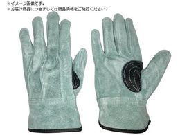 ӂ ICv V Aet LL K-495-LL