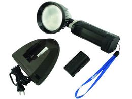 saga 12WLEDFR[hXCgZbg LB-LED12D-FL-RA